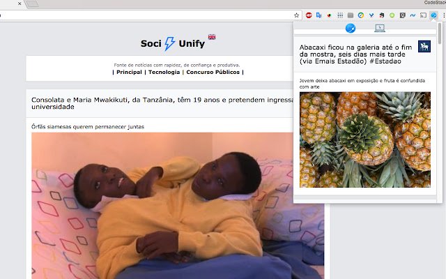 FaceBoost SociUnify ®  from Chrome web store to be run with OffiDocs Chromium online