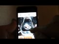 FaceFlip  from Chrome web store to be run with OffiDocs Chromium online