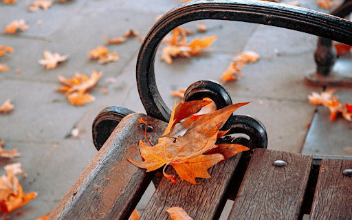 Falling Leaves from Chrome web store to be run with OffiDocs Chromium online Falling Leaves from Chrome web store to be run with OffiDocs Chromium online