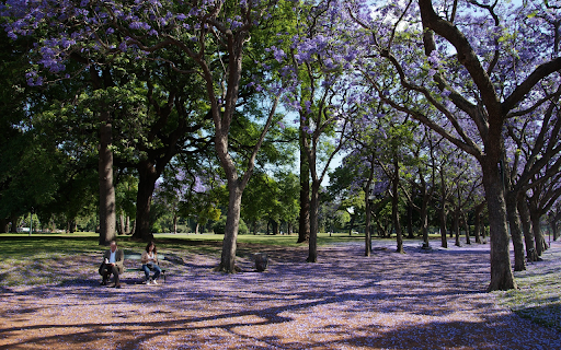 Falling purple flower park  from Chrome web store to be run with OffiDocs Chromium online