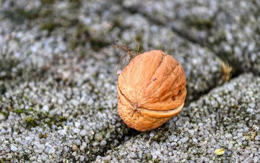 Falling walnuts  from Chrome web store to be run with OffiDocs Chromium online