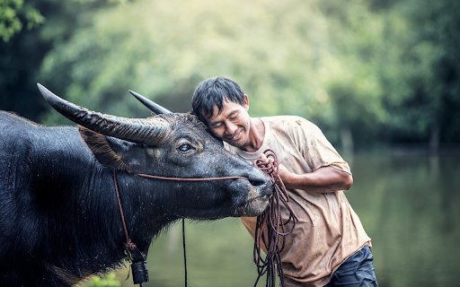 Farmers friend  from Chrome web store to be run with OffiDocs Chromium online