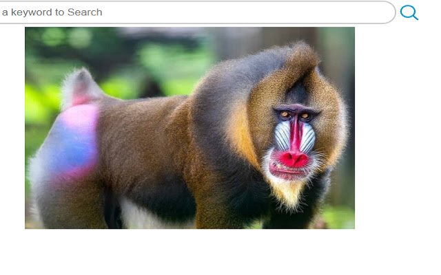 FavTabs Best Monkeys Mandrills  from Chrome web store to be run with OffiDocs Chromium online