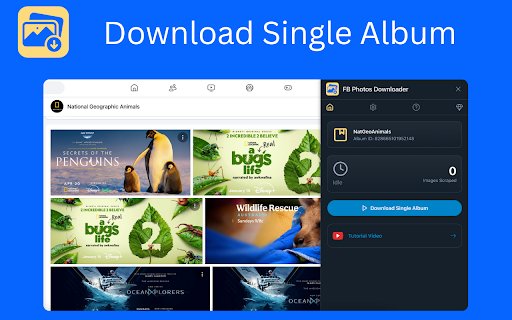 FB Photos Downloader  from Chrome web store to be run with OffiDocs Chromium online