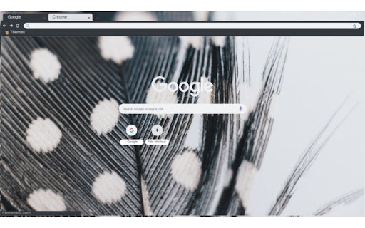 feather from Chrome web store to be run with OffiDocs Chromium online feather from Chrome web store to be run with OffiDocs Chromium online