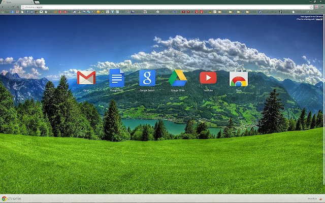 Feledyn Computer Services aus dem Chrome-Webshop zur Ausführung mit OffiDocs Chromium online