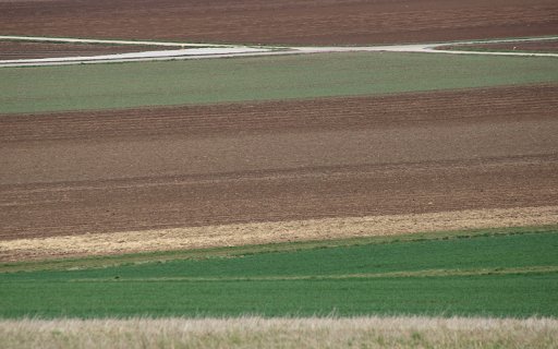 Fertile Field  from Chrome web store to be run with OffiDocs Chromium online