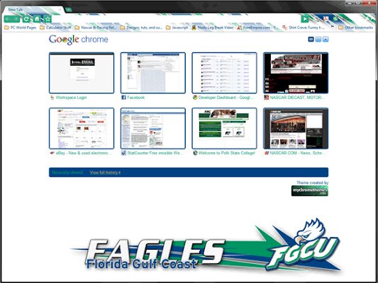FGCU Eagles Large van de Chrome-webwinkel om te worden uitgevoerd met OffiDocs Chromium online