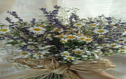 field flower bouquet wallpaper  from Chrome web store to be run with OffiDocs Chromium online
