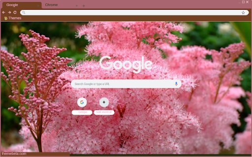 Filipendula  from Chrome web store to be run with OffiDocs Chromium online