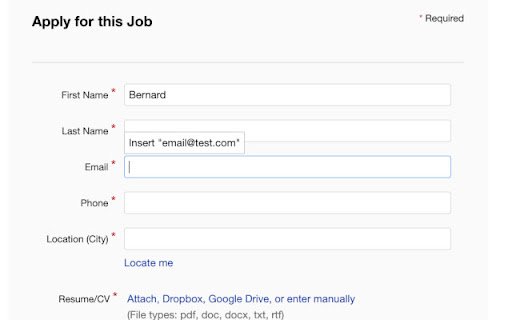 Fill In: Personal Info Storage  from Chrome web store to be run with OffiDocs Chromium online