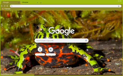 Fire Bellied Toad  from Chrome web store to be run with OffiDocs Chromium online
