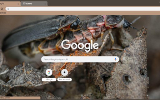 Firefly  from Chrome web store to be run with OffiDocs Chromium online