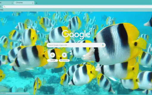 Fishes  from Chrome web store to be run with OffiDocs Chromium online