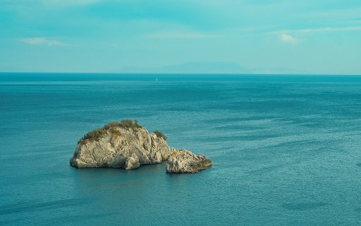 Fish shaped rock by the sea  from Chrome web store to be run with OffiDocs Chromium online