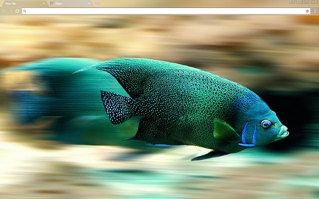 Fishy  from Chrome web store to be run with OffiDocs Chromium online