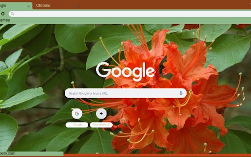 Flame Azalea from Chrome web store to be run with OffiDocs Chromium online Flame Azalea from Chrome web store to be run with OffiDocs Chromium online