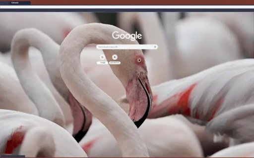 flamingo  from Chrome web store to be run with OffiDocs Chromium online