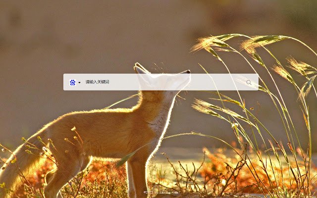 FlexTab 新 标签 页 من متجر Chrome الإلكتروني ليتم تشغيله مع OffiDocs Chromium عبر الإنترنت