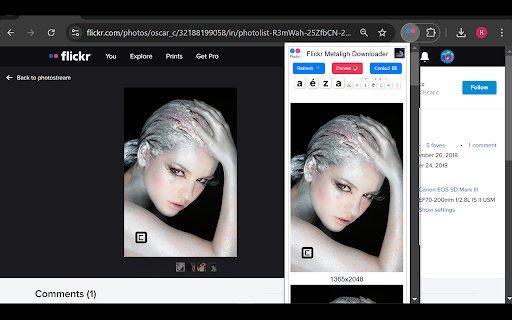 Flickr Metaligh Images Downloader  from Chrome web store to be run with OffiDocs Chromium online