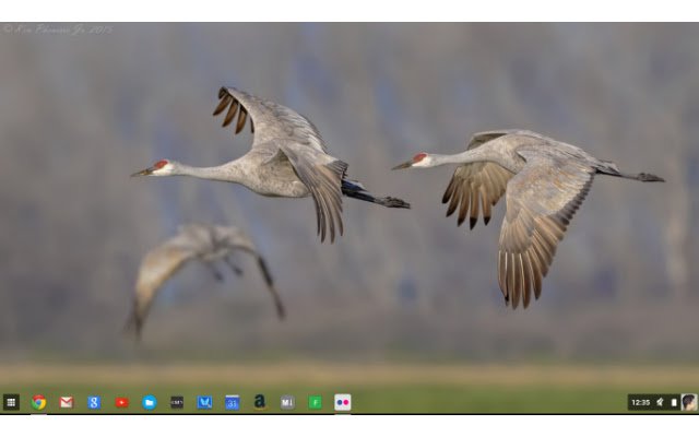 Flickr Wallpapers for Chromebook™  from Chrome web store to be run with OffiDocs Chromium online