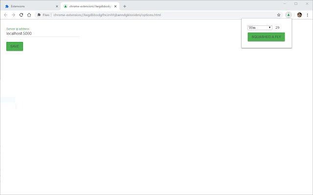 Flies  from Chrome web store to be run with OffiDocs Chromium online