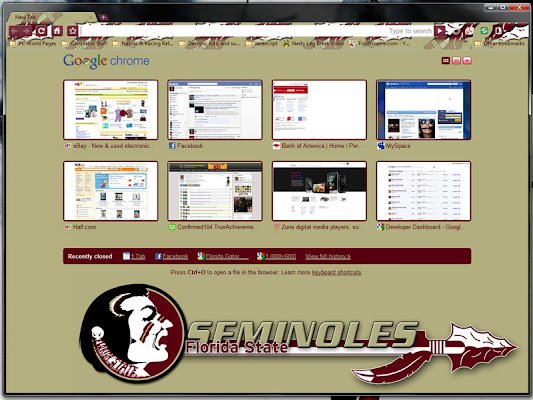 Florida State Seminoles Large de la boutique en ligne Chrome sera exécuté avec OffiDocs Chromium en ligne