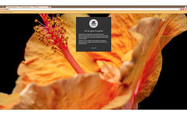 Flower by MohaKabyo Canvas  from Chrome web store to be run with OffiDocs Chromium online