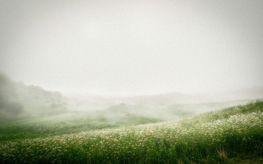 Flower Field and Dew  from Chrome web store to be run with OffiDocs Chromium online