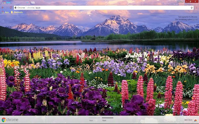 Flower Lake Lupine 1920 * 1080 من متجر Chrome الإلكتروني ليتم تشغيله باستخدام OffiDocs Chromium عبر الإنترنت