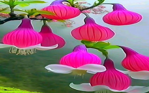 flower lantern wallpaper  from Chrome web store to be run with OffiDocs Chromium online
