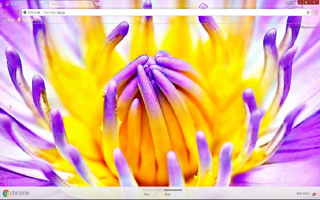Flower Lilac Nature 1366*768 from Chrome web store to be run with OffiDocs Chromium online Flower Lilac Nature 1366*768 from Chrome web store to be run with OffiDocs Chromium online