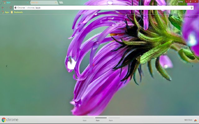 Flower Lilac Nature Pastel  from Chrome web store to be run with OffiDocs Chromium online