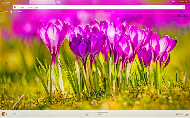 Flower Pink Flower Spring Sunny  from Chrome web store to be run with OffiDocs Chromium online