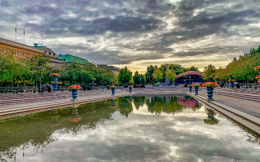 Flower pots by the lake from Chrome web store to be run with OffiDocs Chromium online Flower pots by the lake from Chrome web store to be run with OffiDocs Chromium online