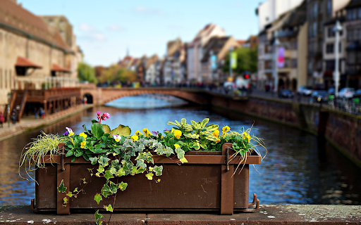 Flower pots by the river  from Chrome web store to be run with OffiDocs Chromium online