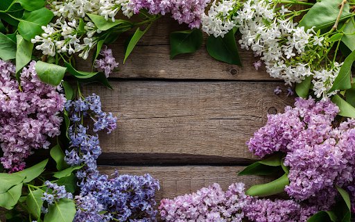 Flowers arranged in a circle  from Chrome web store to be run with OffiDocs Chromium online