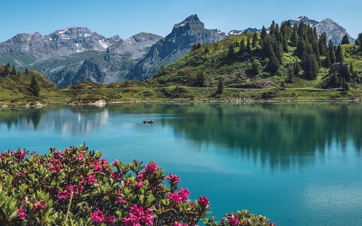 Flowers bloom by the lake  from Chrome web store to be run with OffiDocs Chromium online