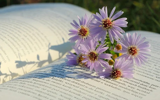 FLOWERS THEME  from Chrome web store to be run with OffiDocs Chromium online