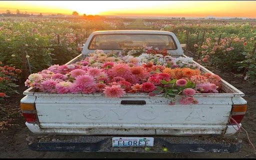 flower truck wallpaper  from Chrome web store to be run with OffiDocs Chromium online