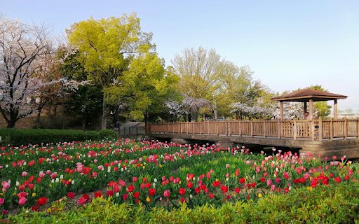 Flower viewing hut  from Chrome web store to be run with OffiDocs Chromium online