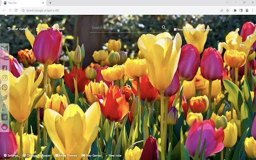Flower Wallpaper  from Chrome web store to be run with OffiDocs Chromium online