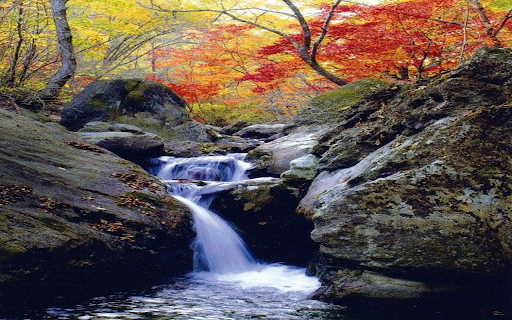 flowing stream wallpaper from Chrome web store to be run with OffiDocs Chromium online flowing stream wallpaper from Chrome web store to be run with OffiDocs Chromium online