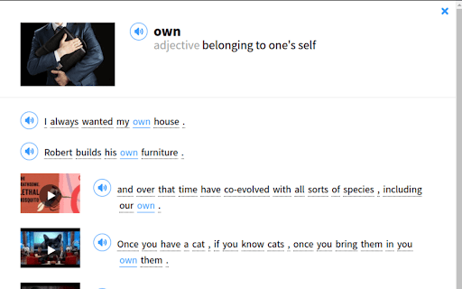 FluentU  from Chrome web store to be run with OffiDocs Chromium online