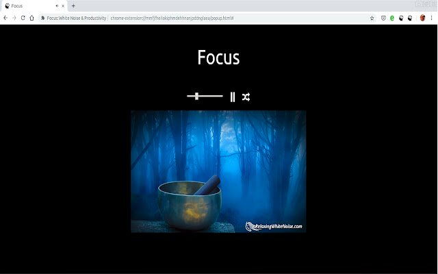 Focus: White Noise Productivity mula sa Chrome web store na tatakbo sa OffiDocs Chromium online