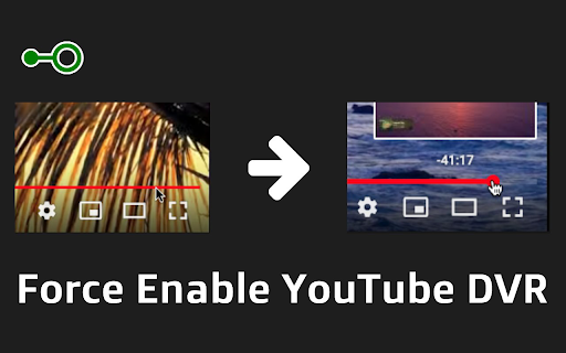 Force enable YouTube DVR  from Chrome web store to be run with OffiDocs Chromium online