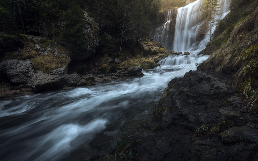 Forest Cascade  from Chrome web store to be run with OffiDocs Chromium online