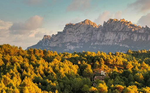 Forest During Sunset  from Chrome web store to be run with OffiDocs Chromium online