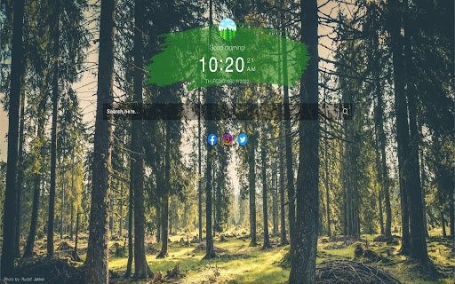 Forest Extension from Chrome web store to be run with OffiDocs Chromium online Forest Extension from Chrome web store to be run with OffiDocs Chromium online