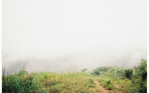 forest fog  from Chrome web store to be run with OffiDocs Chromium online